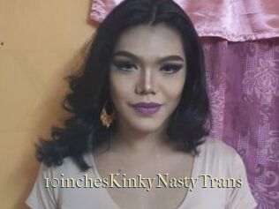 10inchesKinkyNastyTrans