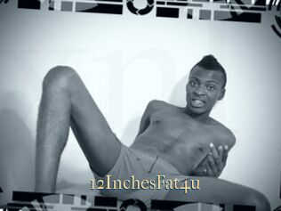 12InchesFat4u