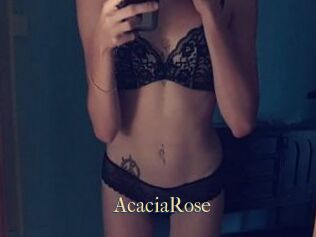 AcaciaRose