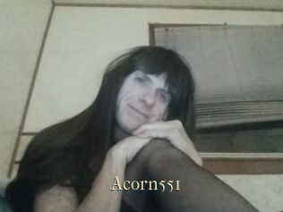 Acorn551