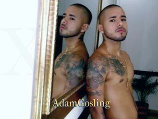 AdamGosling