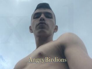 AngryBirdions