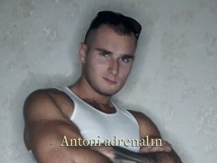 Antoni_adrenal1n