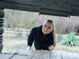 Arachne