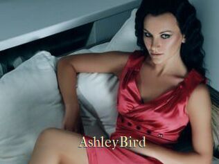 AshleyBird