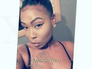 Acacia_rowe