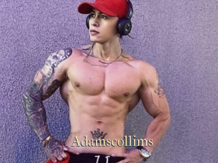 Adamscollims
