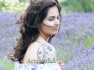 Aerinbaudelaire