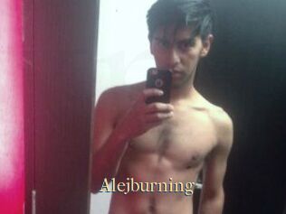 Alejburning