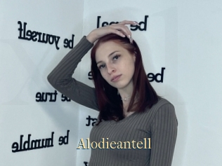 Alodieantell