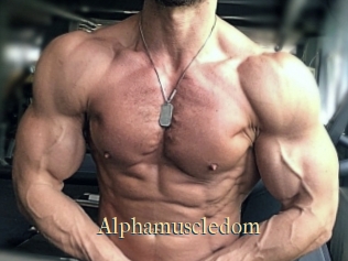Alphamuscledom
