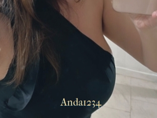 Anda1234