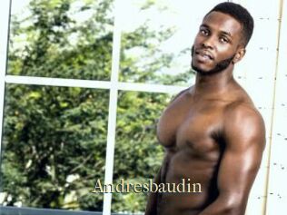 Andresbaudin