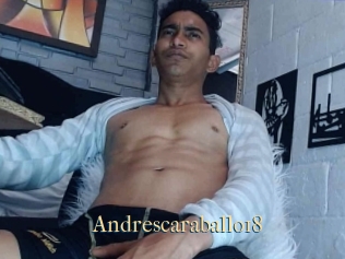 Andrescaraballo18