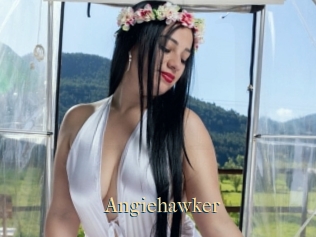 Angiehawker