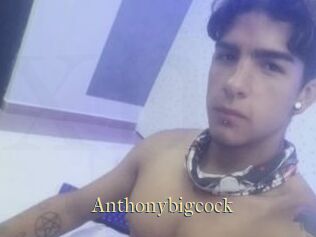 Anthonybigcock