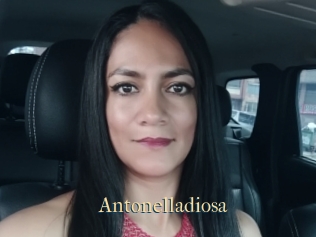 Antonelladiosa