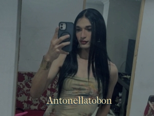 Antonellatobon