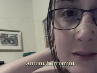 Antoniaborromini