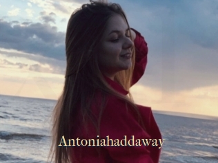 Antoniahaddaway