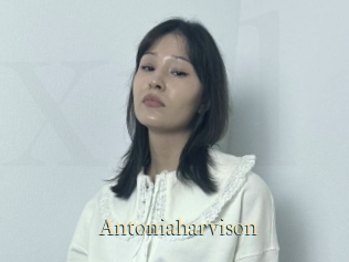 Antoniaharvison