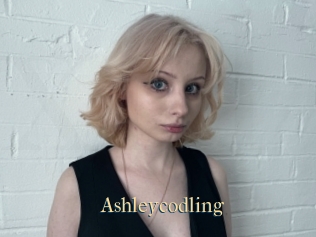 Ashleycodling