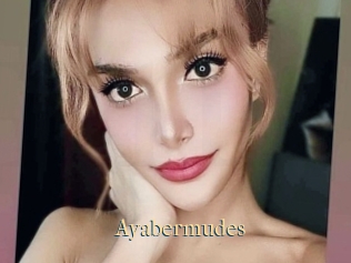 Ayabermudes