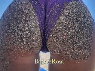 BarbieRosa