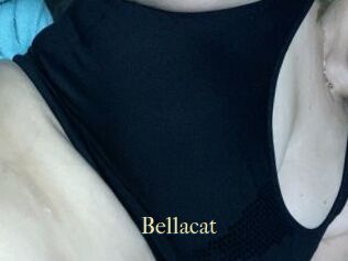 Bella_cat