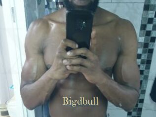 Bigdbull