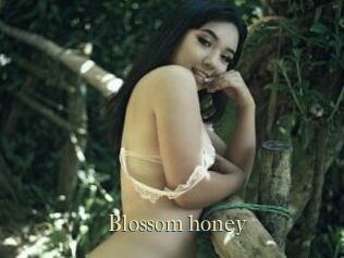 Blossom_honey