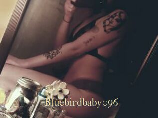 Bluebirdbaby096