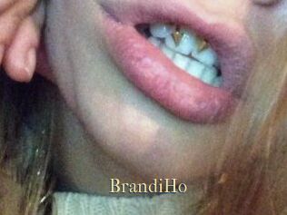 BrandiHo