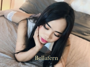 Bellafern