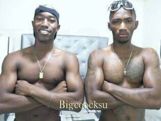 Bigcoocksu