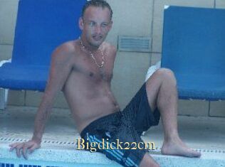 Bigdick22cm