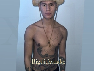 Bigdicksnake