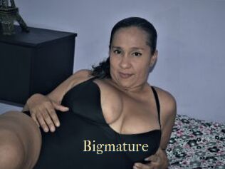 Bigmature