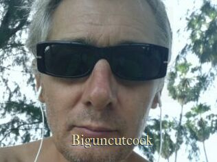 Biguncutcock