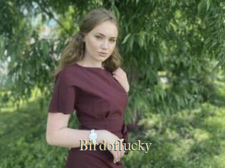 Birdoflucky