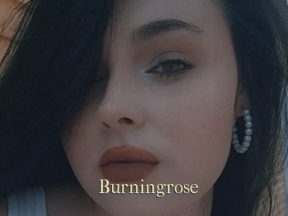 Burningrose