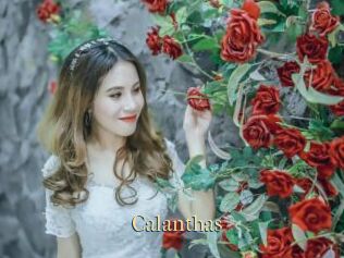 Calanthas