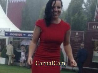 CarnalCam