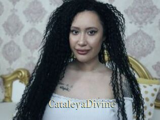 CataleyaDivine