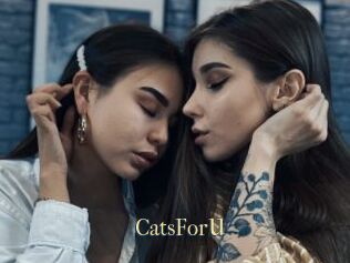 CatsForU
