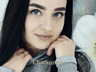 ChatSauvage