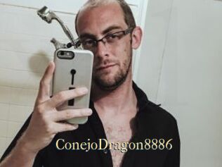 ConejoDragon8886