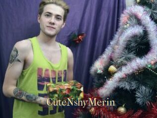CuteNshyMerin