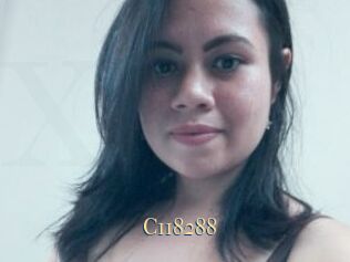 C118288