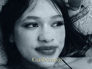 Caribeanfox